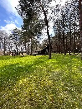 База відпочинку "Лісна" — фото