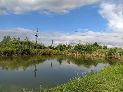 База відпочинку "Лісна" — фото 3