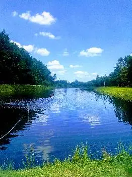 База відпочинку "Лісна" — фото 4