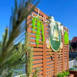 Palmira Resort (Пальміра Резорт) — фото