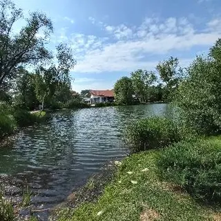 Пайташ - відпочинковий комплекс | ресторан | готель — фото 5