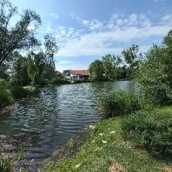 Пайташ - відпочинковий комплекс | ресторан | готель — фото 5