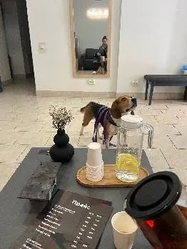 Oh Massage Залізнична. Найкраща студія масажу у Львові — фото 3