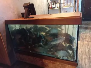 Рибна ферма 2 Fish_bar — фото 4