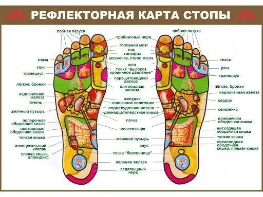 Масажист Львів. Професійний масаж у Львові на дому. — фото 3