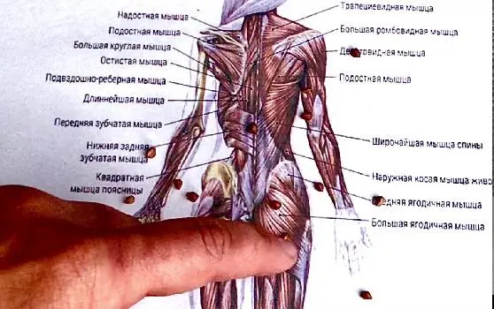 Nazar_Massage&Herbs ( Масаж Львів) — фото 5