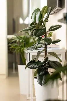 Nani massage studio — фото 4