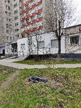 Вулик - сімейна амбулаторія — фото 4