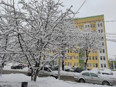 Комунальна поліклініка №6 — фото 3