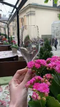 Le Petit Café Lviv — фото 2