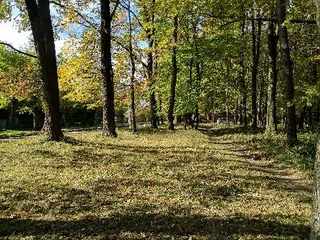 Поліклінічне відділення для дорослих 7-ї міської лікарні — фото