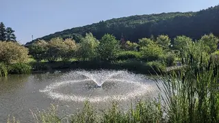 Оздоровчий комплекс Ірис, СК Деренівська Купіль — фото 2