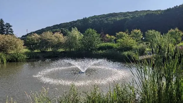 Оздоровчий комплекс Ірис, СК Деренівська Купіль — фото 2