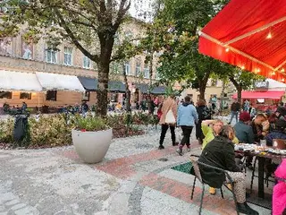 П'яна качка / Drunken Duck — фото