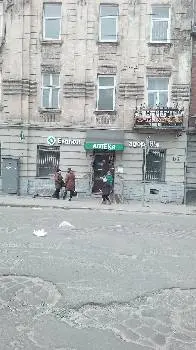 Едельвейс — фото 3