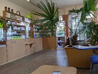 Аптека №29 — фото 2