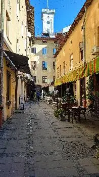 На бамбетлі — фото 5