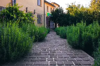 Пансіонат для літніх людей "La Vita" — фото 4