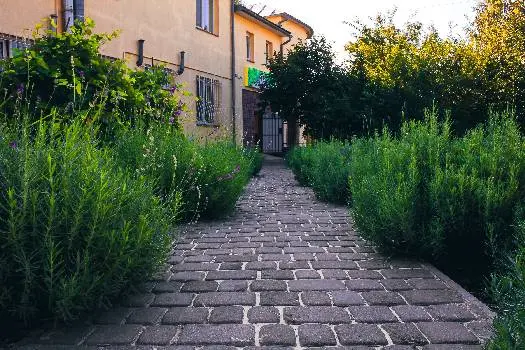 Пансіонат для літніх людей "La Vita" — фото 4