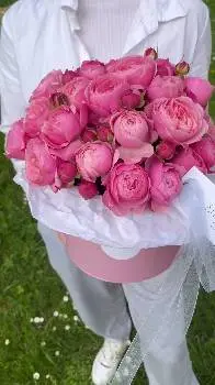 Shatravko Flowers доставка квітів у Львові — фото 4