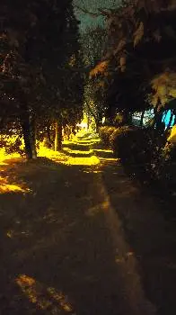 Товариство сприяння обороні України — фото 3