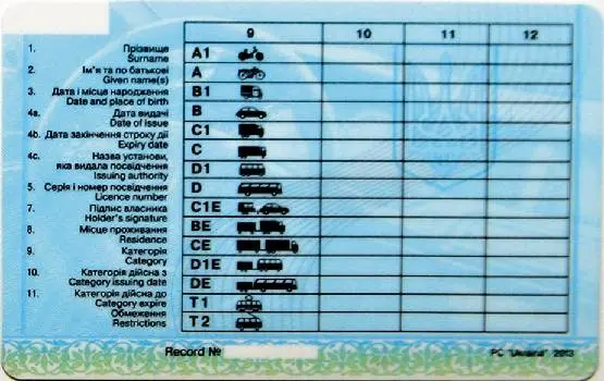 "Світлофор" — фото 4