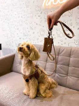 Грумінг салон "Charlie&Woof" — фото 4