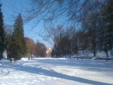 Львівський фаховий коледж культури і мистецтв — фото 2