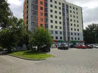 MAVISTA - Робота за кордоном — фото
