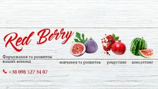 Рекрутингове агентство Red Berry (HR-агентство REDBERRY) — фото 2