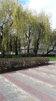 Техніко-економічний коледж Національного університету "Львівська політехніка" — фото 4