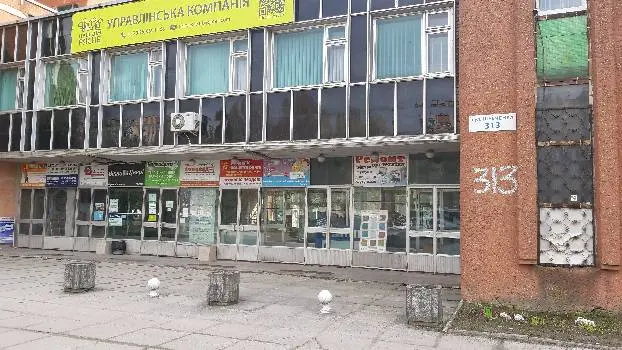 Helen Doron English (Англійська для дітей Хелен Дорон) — фото 4