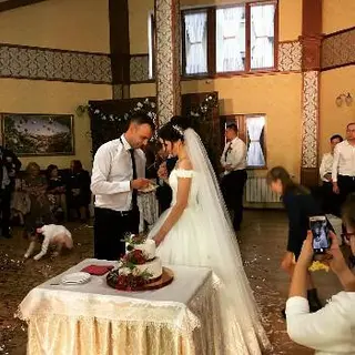 ВЕСІЛЬНА ТОРБА — фото 3