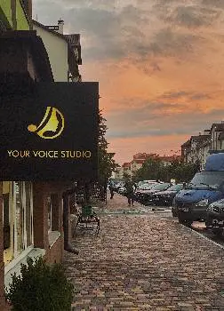 Your Voice Studio уроки вокала — фото 4