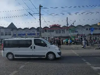 ЛВ ФОРТУНА ГО ЛЬВІВСЬКЕ МІСЬКЕ ВІДДІЛЕННЯ ОБЛАСНОГО ЦЕНТРУ СОБАКІВНИЦТВА КСУ — фото