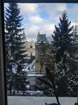 Львівський державний музичний ліцей імені Соломії Крушельницької — фото 3