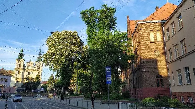 Ліцей №10 імені святої Марії Магдалени — фото 4