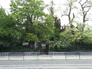 КЗ ЛОР "Львівська спеціальна школа Марії Покрови " — фото 2