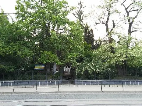КЗ ЛОР "Львівська спеціальна школа Марії Покрови " — фото 2