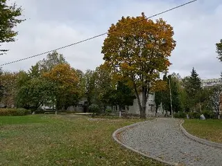 Початкова школа "Малюк" Львівської міської ради з дошкільним відділенням — фото 3