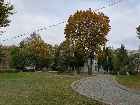 Початкова школа "Малюк" Львівської міської ради з дошкільним відділенням — фото 3