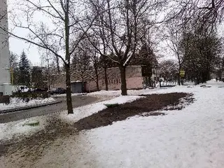 Навчально-реабілітаційний центр для дітей з вадами зору "Левеня" — фото