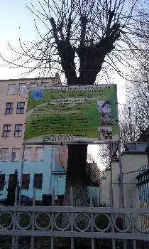 Львівський кооперативний коледж економіки і права — фото 4