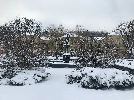 Львівський національний медичний університет імені Данила Галицького — фото 2