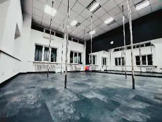 This is POLE dance school — фото
