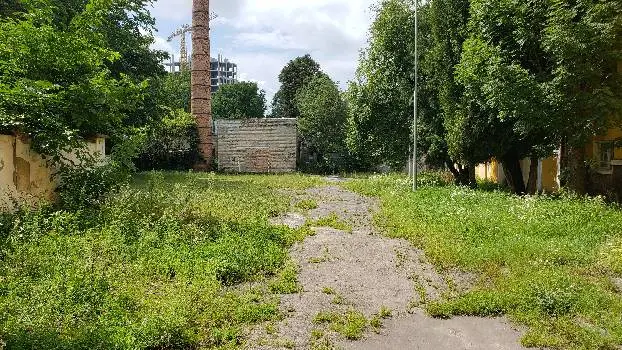 Львівська загальноосвітня школа I—III ступенів № 50 — фото 2