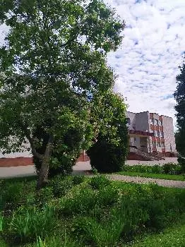 СЗШ І-ІІІ ступенів №29 м.Львова — фото 3