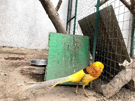 Львівський обласний дитячий еколого-натуралістичний центр — фото 3