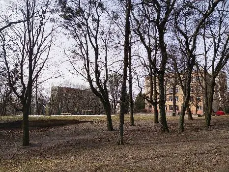 Школа № 44 ім.Тараса Шевченка — фото 5