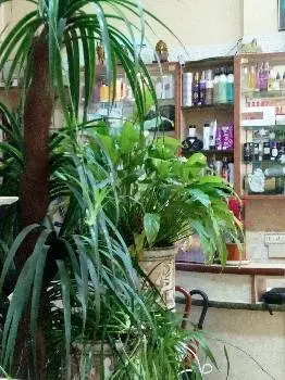 Салон краси "Каре" — фото 5